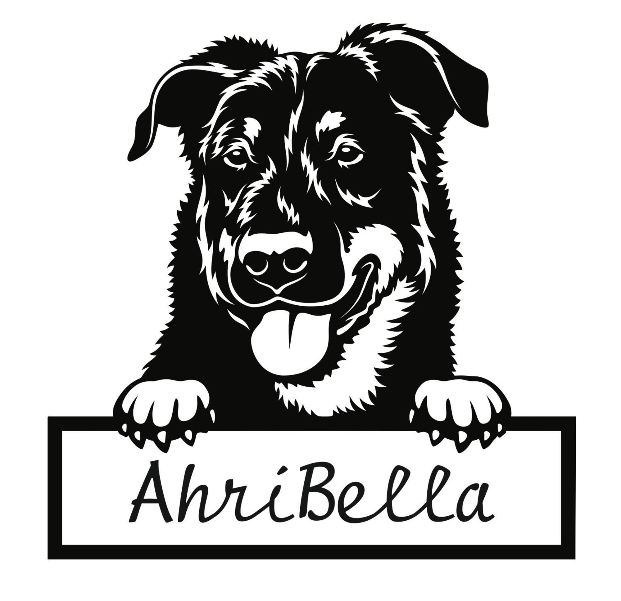 Urlaub Mit Hund -Ferienwohnung "Ahribella"- Glowe Exterior photo